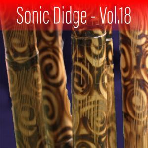Sonic Didge, Vol. 18