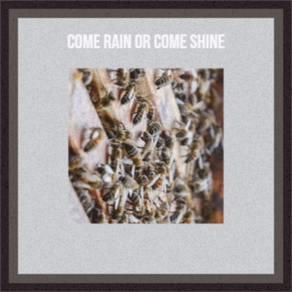 Come Rain or Come Shine