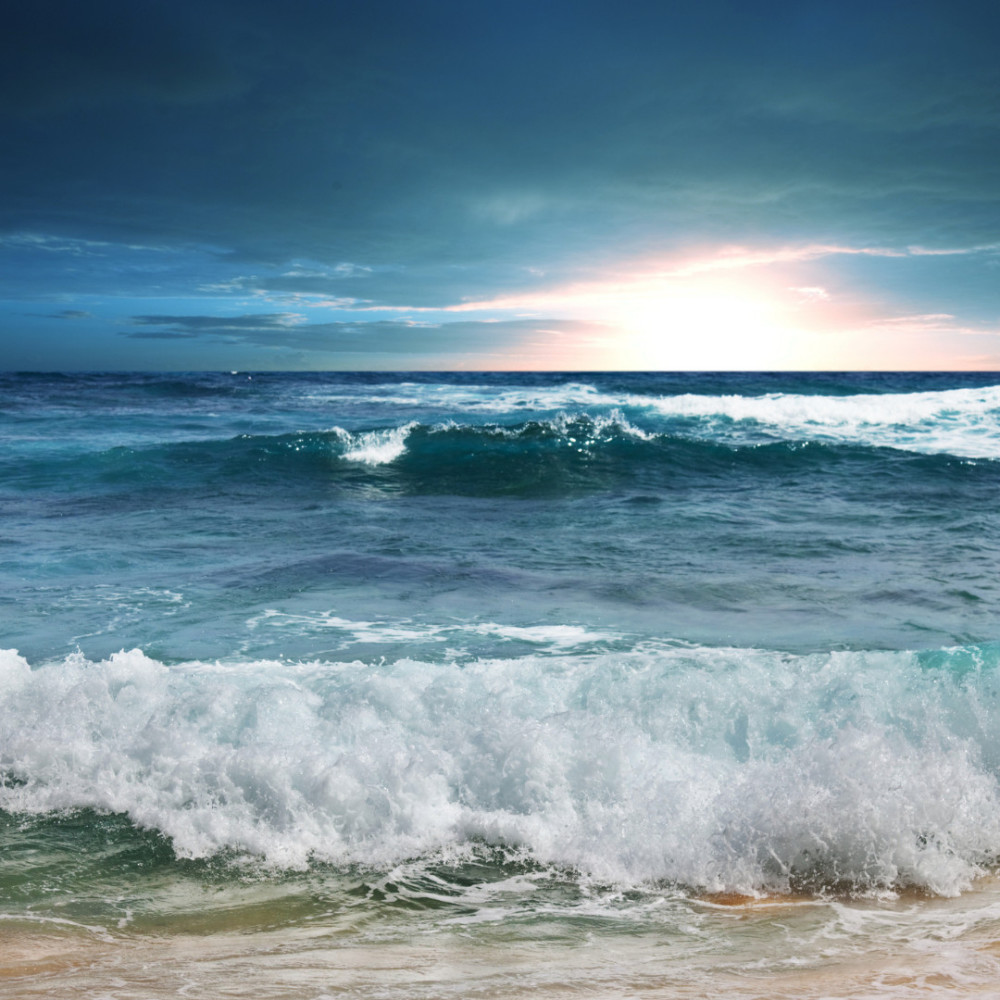 Seaside Professional Serenity