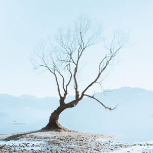 Listen to Natural Remedy song with lyrics from Deep Sleep