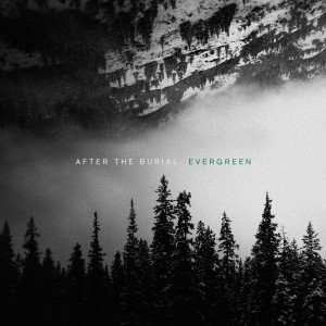 ดาวน์โหลดและฟังเพลง Respire พร้อมเนื้อเพลงจาก After The Burial