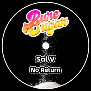 Listen to No Return (Dub) song with lyrics from Sal V