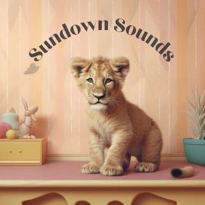 Album Sundown Sounds from Baby Music
