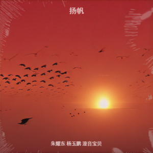 Listen to 扬帆 (完整版) song with lyrics from 朱耀东