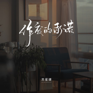 Album 作废的承诺 from 苏星婕