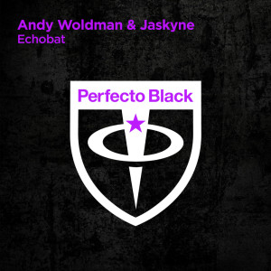 收聽Andy Woldman的Echobat (Extended Mix)歌詞歌曲
