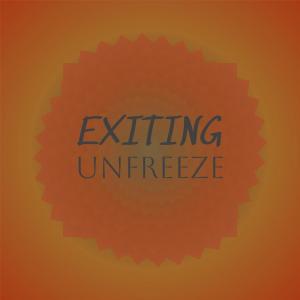 Listen to Exiting Unfreeze song with lyrics from Ambe Mner