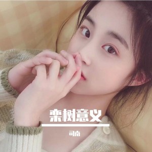 Album 栾树意义 from 司南