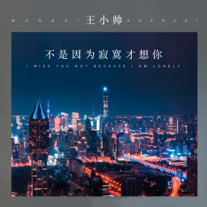 Listen to 不是因为寂寞才想你 song with lyrics from 王小帅