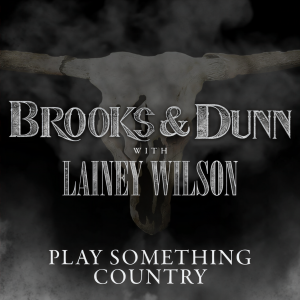 อัลบัม Play Something Country ศิลปิน Brooks, Meredith
