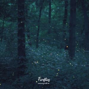 conviving with me的專輯Fireflies