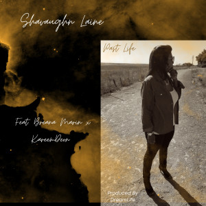 Listen to Past Life song with lyrics from Shavaughn Laine