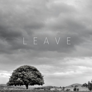 TJ Hartmann的專輯Leave