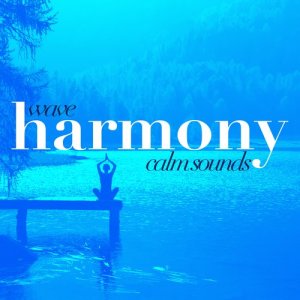 ดาวน์โหลดและฟังเพลง Calm Beach Waves พร้อมเนื้อเพลงจาก Outside Broadcast Recordings