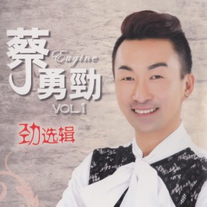 Dengarkan 意難忘 lagu dari 蔡勇劲 dengan lirik