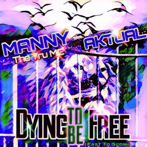 Album Dying to Be Free (Fast to Slow) from 
