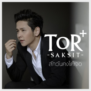 อัลบัม สักวันคงได้เจอ ศิลปิน ToR Saksit