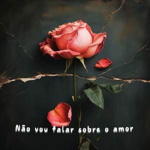 收聽Rauan的Não vou falar sobre o amor.. (Explicit)歌詞歌曲