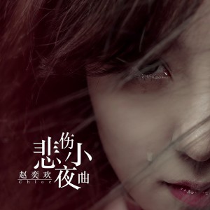 Listen to 悲伤小夜曲 song with lyrics from 赵奕欢