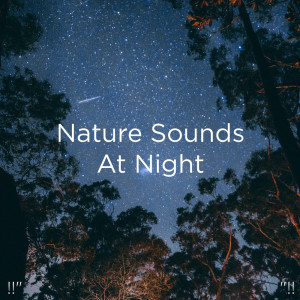 收聽Deep Sleep的Détente Musique Océan Sommeil歌詞歌曲