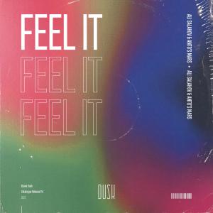 ดาวน์โหลดและฟังเพลง Feel It (Extended Mix) พร้อมเนื้อเพลงจาก Ali Salahov