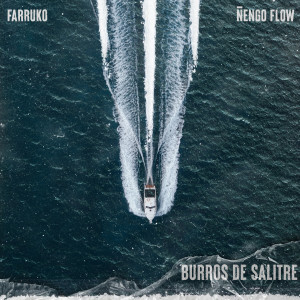 ดาวน์โหลดและฟังเพลง Burros de Salitre (Explicit) พร้อมเนื้อเพลงจาก Farruko