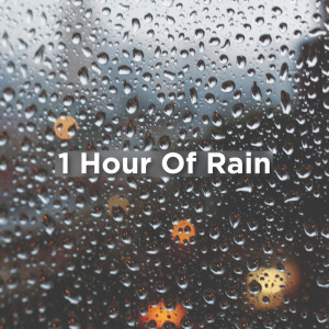收聽Rain Sounds的Rain Sounds No Thunder歌詞歌曲