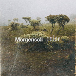 Morgensoll的专辑Pulse