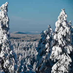 ดาวน์โหลดและฟังเพลง Snövals över Rajvoheden พร้อมเนื้อเพลงจาก Saiva