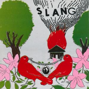 Listen to My Mountain Music song with lyrics from Slang
