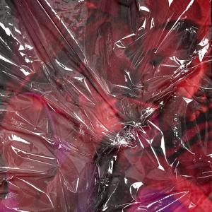 收聽Lily Massie的Don't Need (Explicit)歌詞歌曲