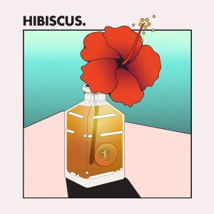 อัลบัม HIBISCUS (Explicit) ศิลปิน Temp.