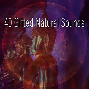 Album 40 Gifted Natural Sounds from Yoga