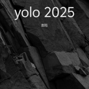 Album yolo 2025 from 