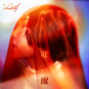 Listen to 吹眠 (录音室版) song with lyrics from 叶颖
