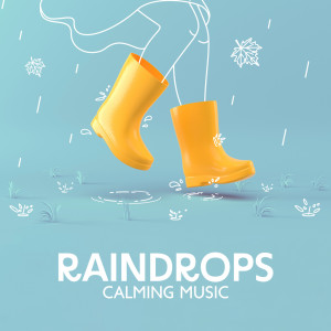 อัลบัม Raindrops Calming Music (Close Your Eyes and Sleep Well) ศิลปิน Inspiring New Age Collection