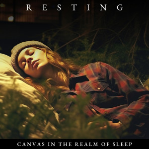 Album Resting Canvas in the Realm of Sleep from Sleep Music Wellness