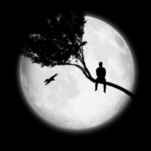 Exsel的專輯Sandım (Explicit)