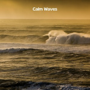 Album Calm Waves from Oceanic Yoga Pros