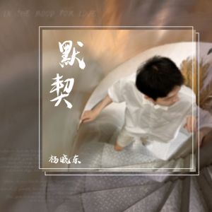 Album 默契 from 杨晓东