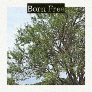 ดาวน์โหลดและฟังเพลง Buona Sera พร้อมเนื้อเพลงจาก Martin, Dean