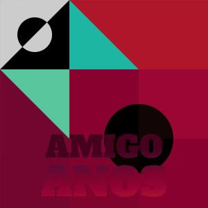 Various Artists的專輯Amigo Anos