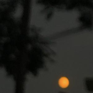 Listen to 梦境&现实：跃迁 (其他) song with lyrics from Wizkon王子坤