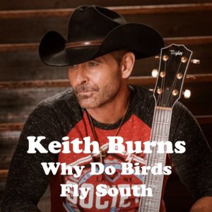 ดาวน์โหลดและฟังเพลง Why Do Birds Fly South พร้อมเนื้อเพลงจาก Keith Burns
