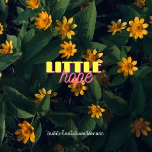 อัลบัม ยินดีที่ครั้งหนึ่งฉันเคยได้พบเธอ ศิลปิน Little Hope