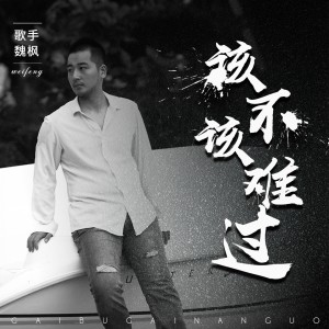 收聽魏楓的該不該難過 (伴奏)歌詞歌曲