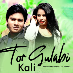 Listen to Turi Gulabi Kali song with lyrics from Sanju Baghel