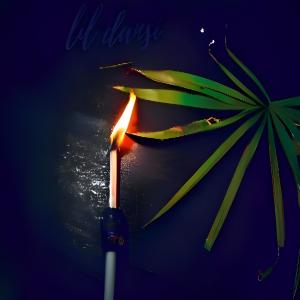 default playlist img