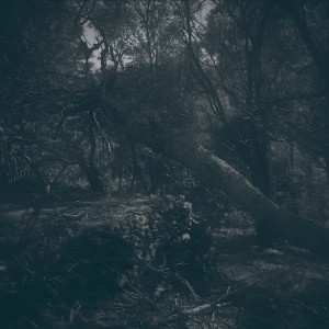 อัลบัม Envo​û​teuse Haleine ศิลปิน Zane Trow