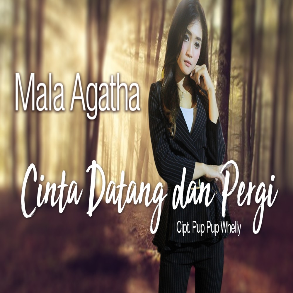 Cinta Datang Dan Pergi
